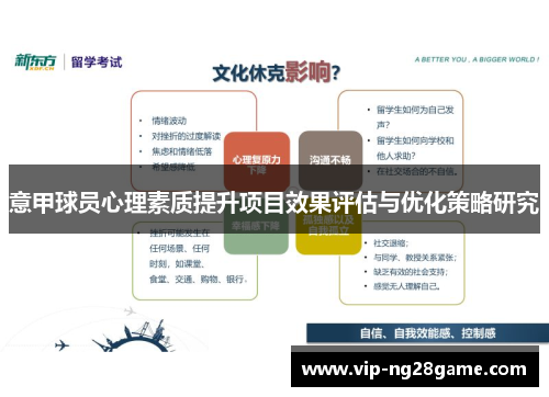 意甲球员心理素质提升项目效果评估与优化策略研究