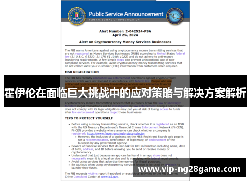 霍伊伦在面临巨大挑战中的应对策略与解决方案解析
